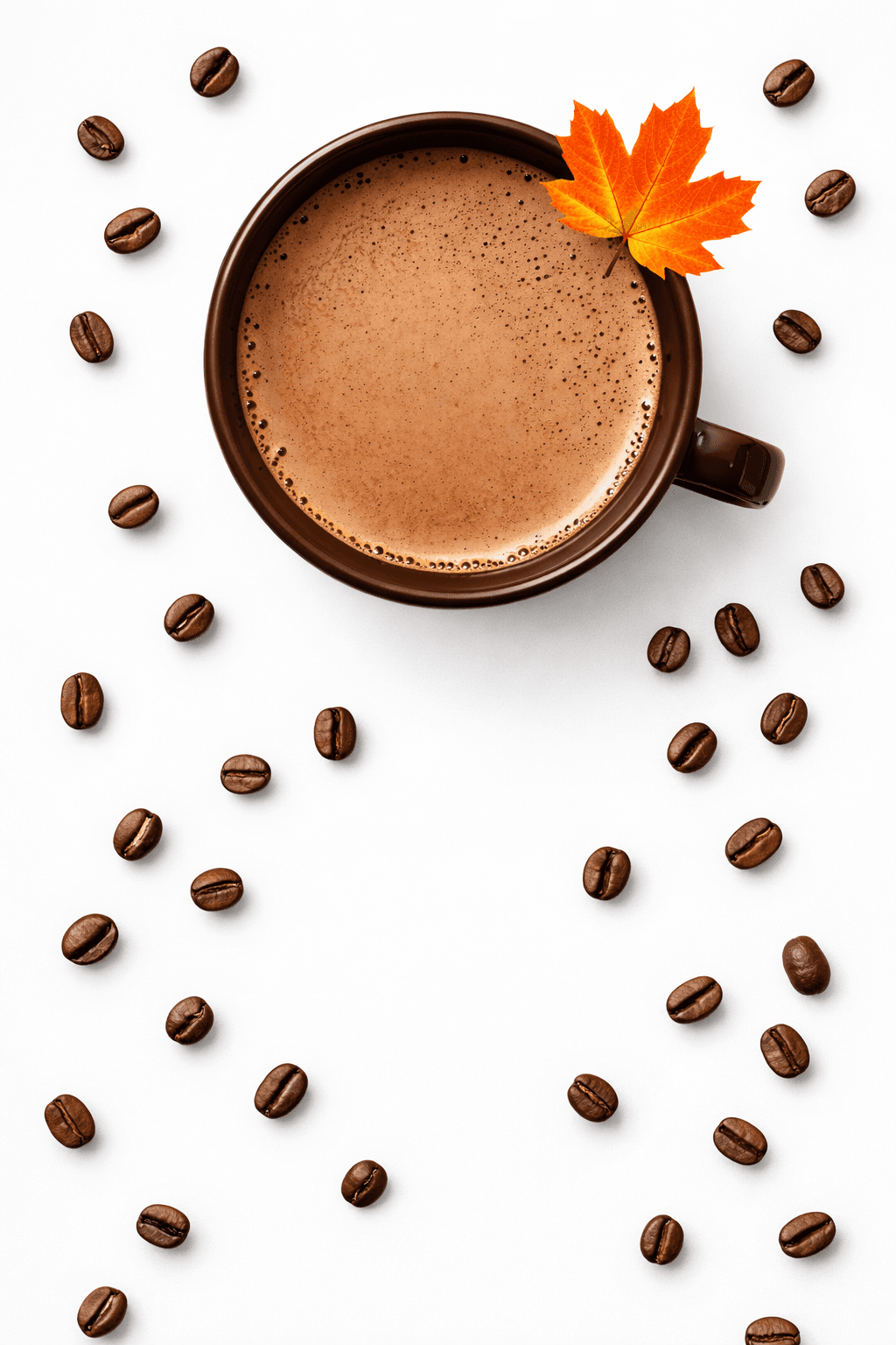 Mushroom coffee Canada - Shyne organic Lion's Mane, Chaga and Turkey Tail blend